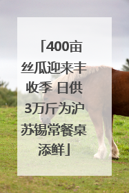 400亩丝瓜迎来丰收季 日供3万斤为沪苏锡常餐桌添鲜
