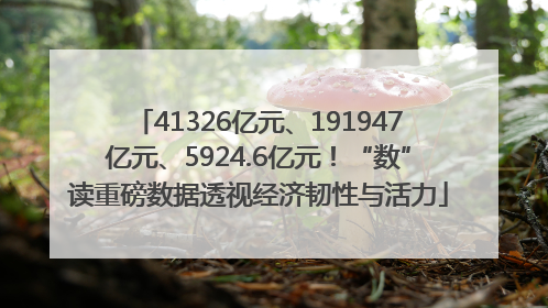 41326亿元、191947亿元、5924.6亿元！“数”读重磅数据透视经济韧性与活力