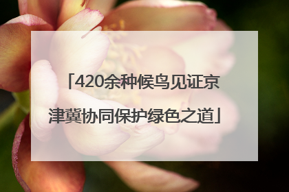420余种候鸟见证京津冀协同保护绿色之道