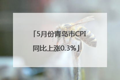 5月份青岛市CPI同比上涨0.3%