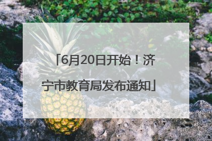 6月20日开始！济宁市教育局发布通知