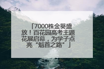 7000株金葵盛放！百花园高考主题花展启幕，为学子点亮“魁首之路”