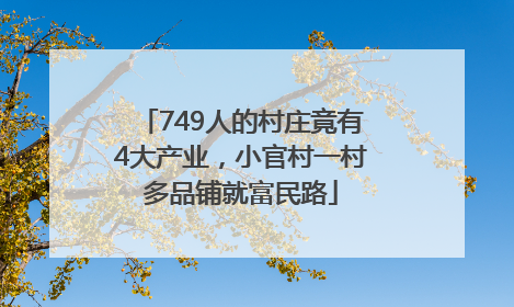 749人的村庄竟有4大产业，小官村一村多品铺就富民路