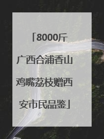8000斤广西合浦香山鸡嘴荔枝赠西安市民品鉴