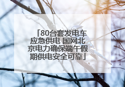 80台套发电车应急供电 国网北京电力确保端午假期供电安全可靠