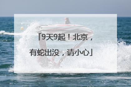 9天9起！北京，有蛇出没，请小心