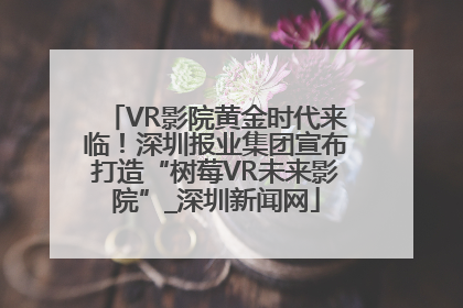 VR影院黄金时代来临！深圳报业集团宣布打造“树莓VR未来影院”_深圳新闻网
